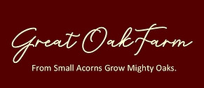 GOF LOGO RED.jpg