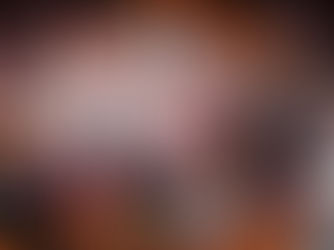 Japan Women's Collection日本大会2025