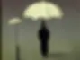 9d26562aca5c61f5c6f98d5d174cee9d9d2d9edf_2000x2000.webp