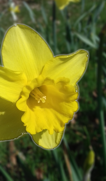 20180418_151123_edited.jpg