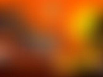Dicas para fazer uma festa de Halloween