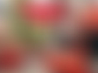 Natal com brincadeiras para divertir toda família