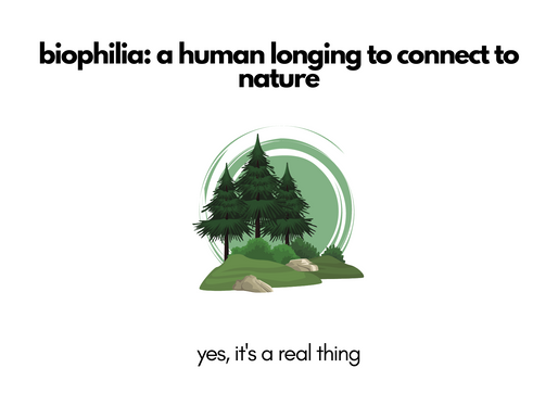 biophilia: a human longing to connect to nature