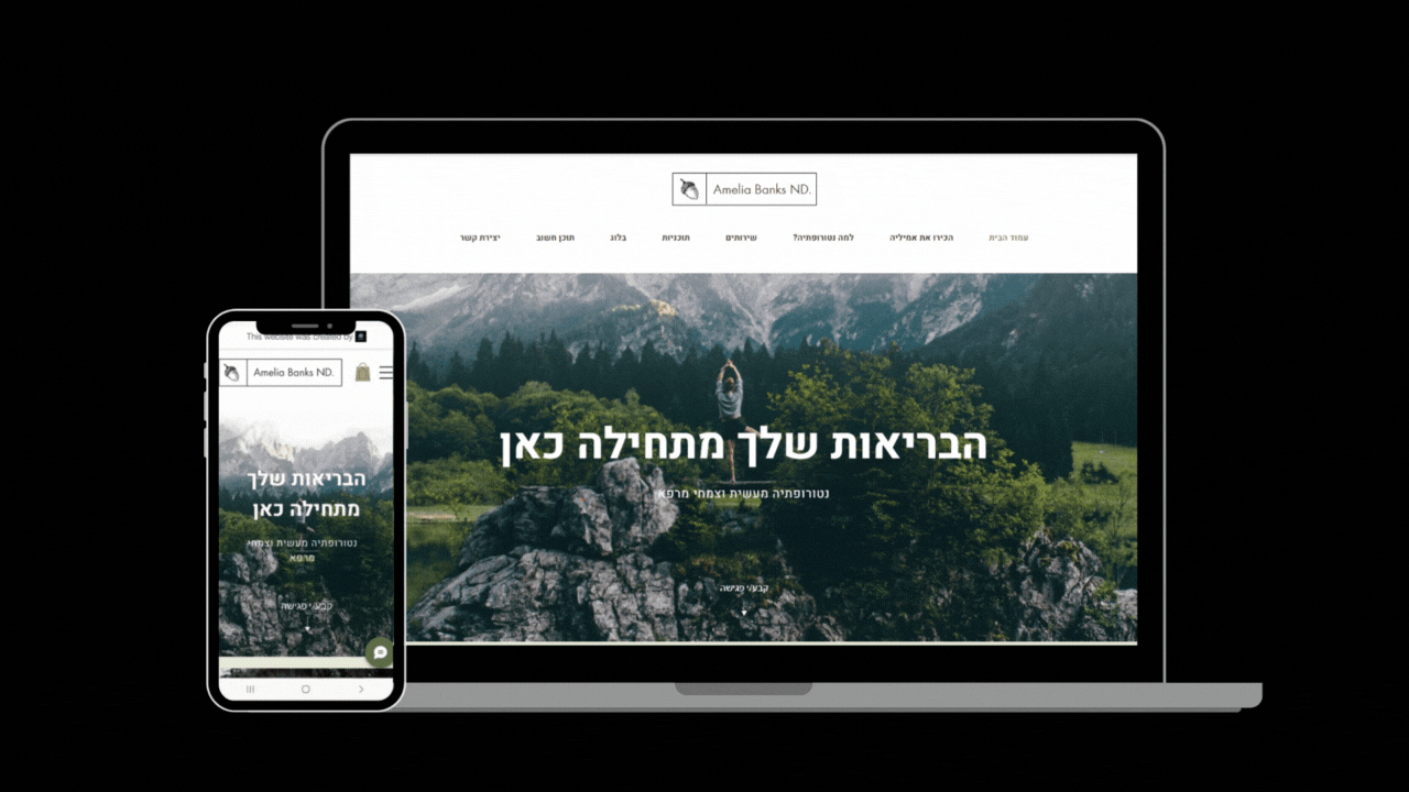 אתר תדמית בוויקס