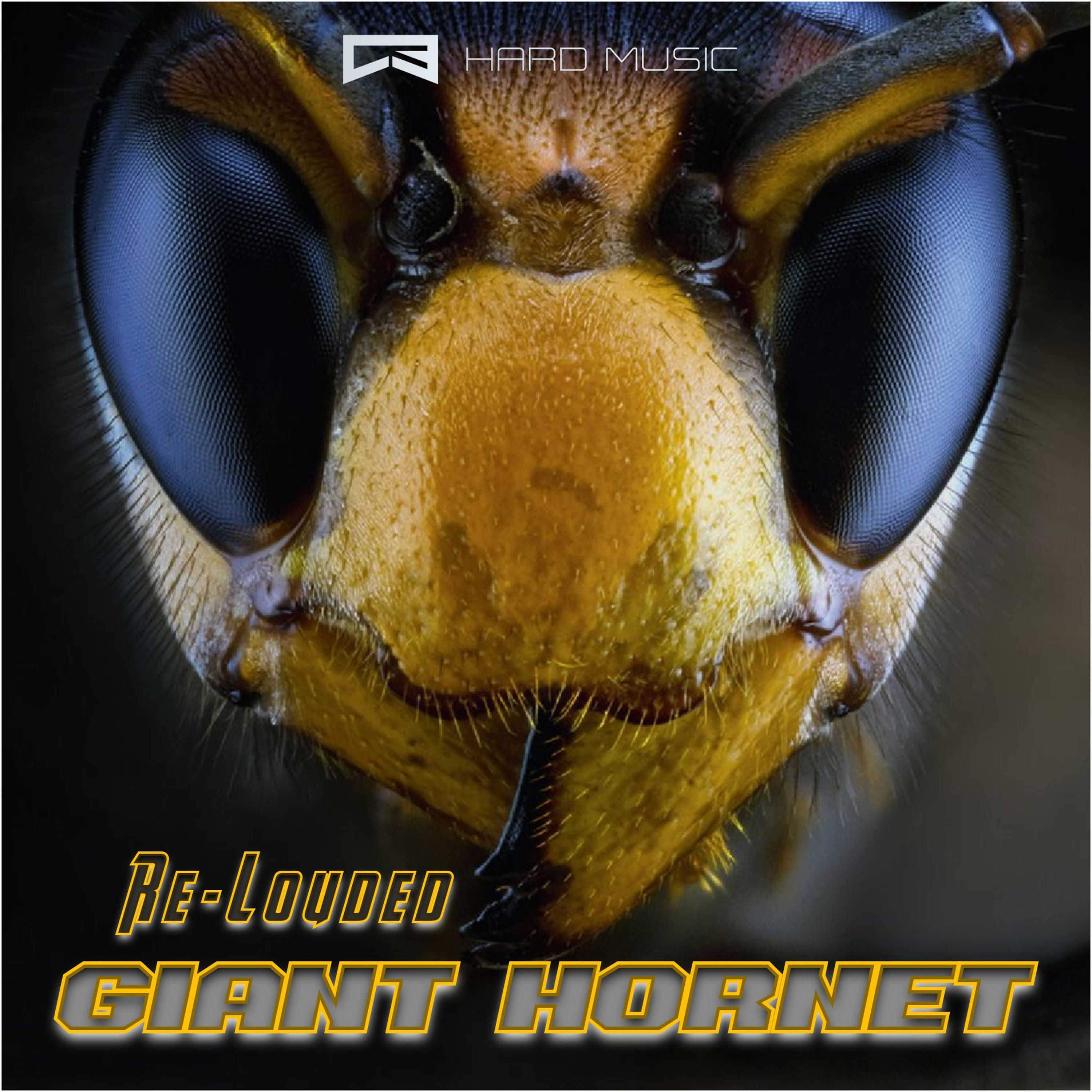 RE-LOUDED - GIANT HORNET