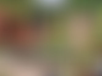 Equipe de Saúde enfrenta chuva, lama e atoleiro para levar vacina contra Covid-19 ao Icuriã