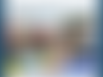 Secretaria de Saúde de Capixaba reforça combate às endemias com entrega de EPIs aos ACE