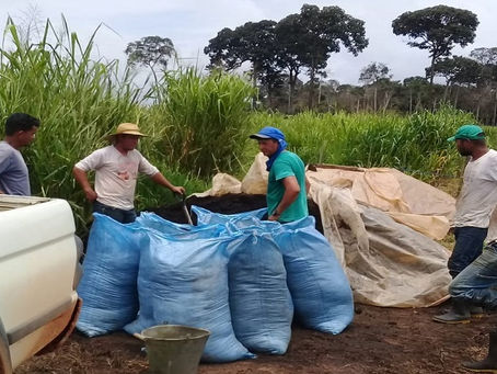 Prefeitura garante apoio ao pequeno produtor de Capixaba