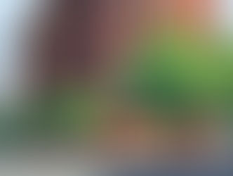 Downtown Multifamily Illustration