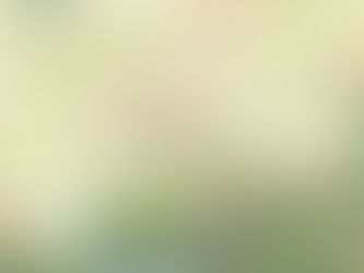 illustration of a map