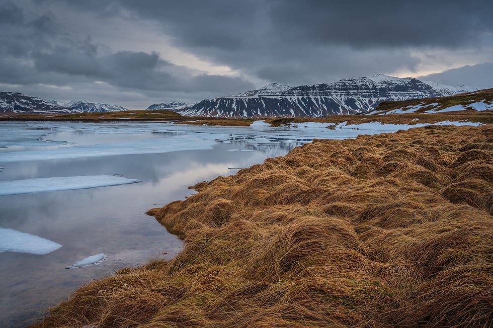 _DSC9457-Edit.jpg