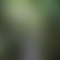 5 FREE Wellness Experiences in Vancouver for Modern Health Lovers