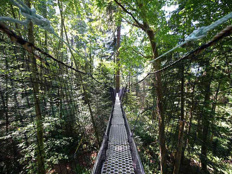 5 FREE Wellness Experiences in Vancouver for Modern Health Lovers