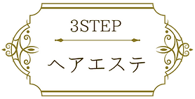 ヘアエステロゴ.png