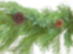 pineminggarcloseup