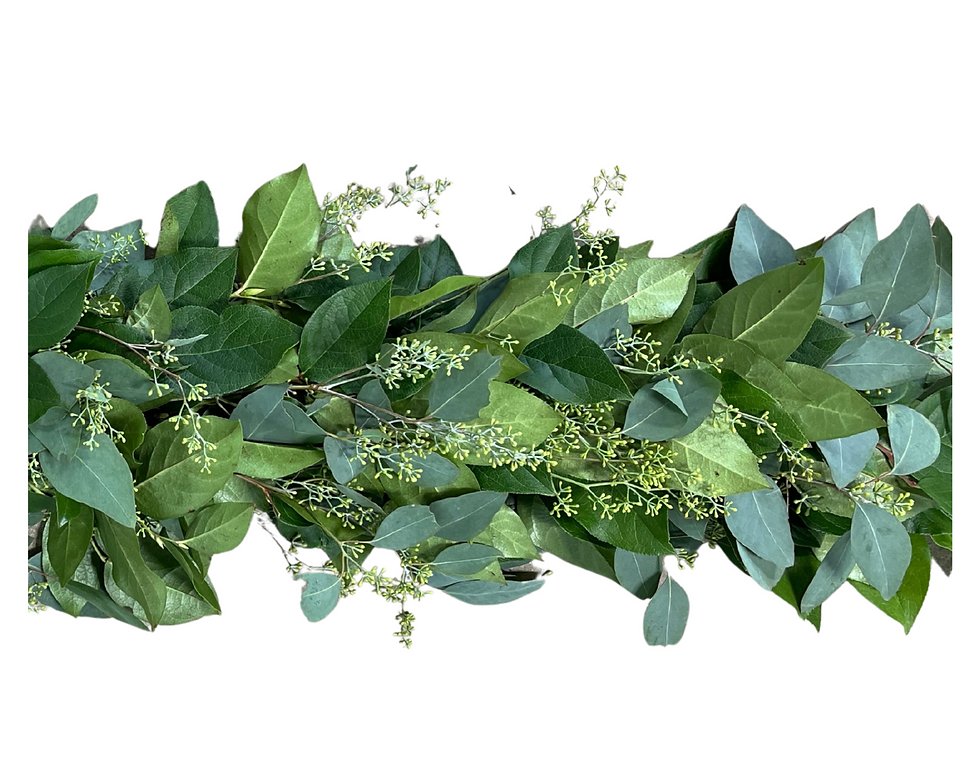 Salal & Seeded Eucalyptus Garland