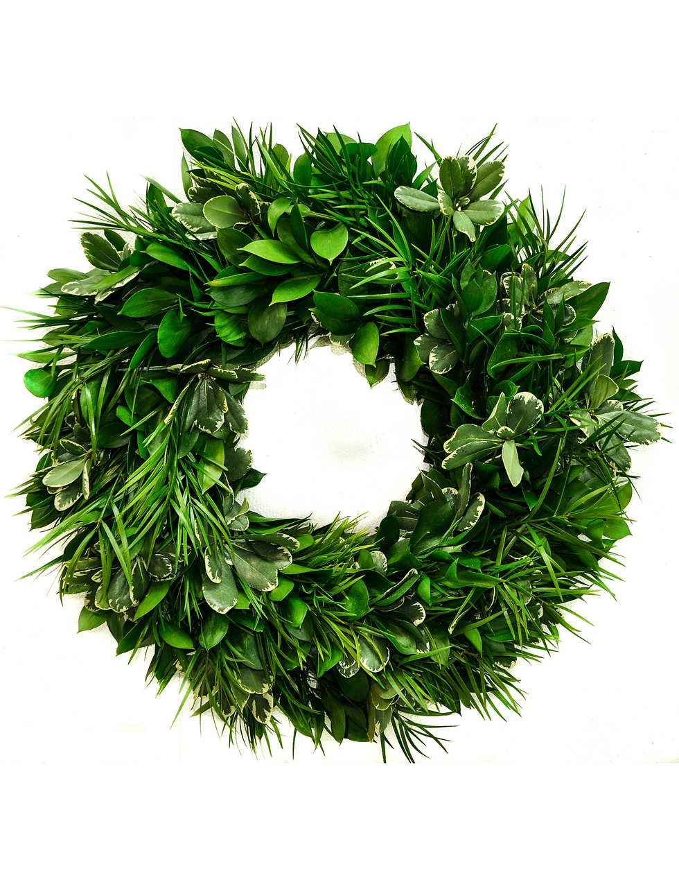 Weeping Podocarpus, Israeli Ruscus, & Variegated Pittosporum Wreath