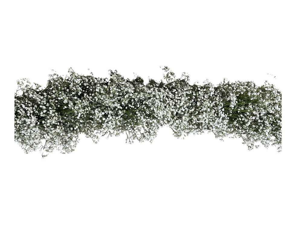 Baby's Breath Garland