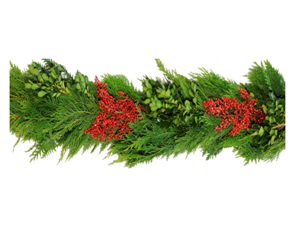 Leyland Cedar, Boxwood & Red Berries Garland