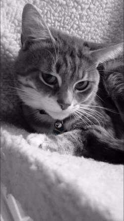 DSC_0124_edited