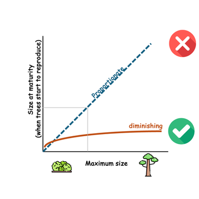 Quand les arbres se reproduisent?