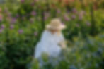 Fermanagh Flower Farm Web size-19.jpg