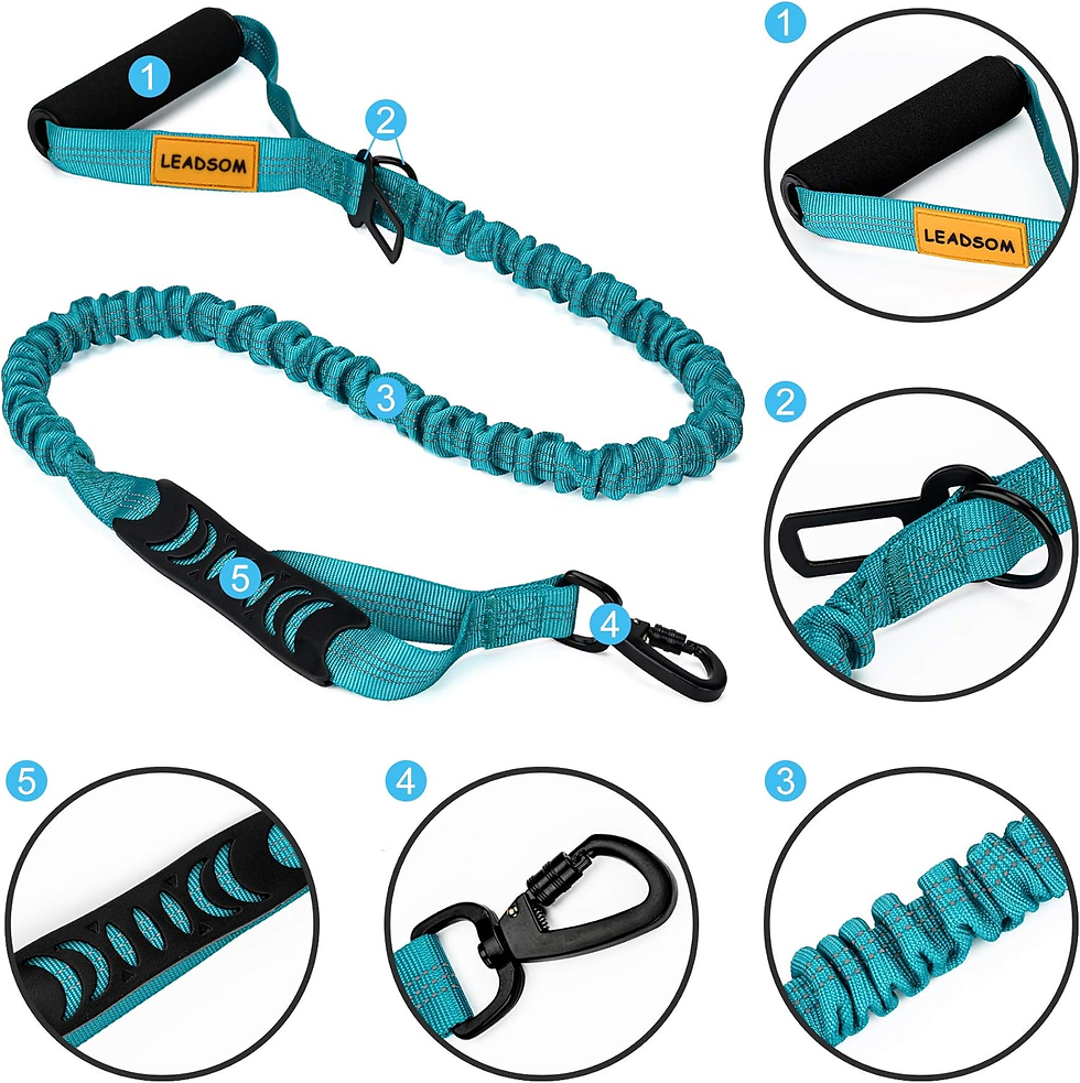 Thumbnail: 6FT Heavy-Duty Reflective Bungee Dog Leash with Padded Handles for Training