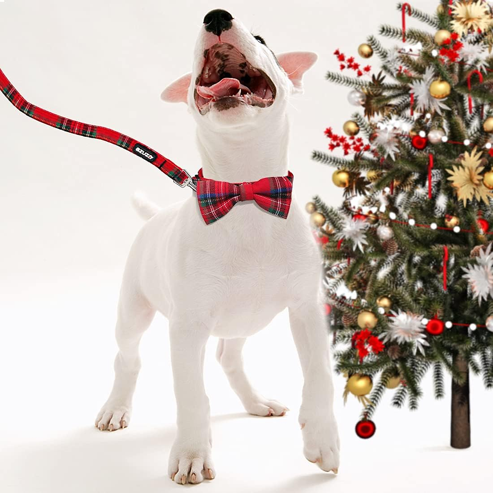 Thumbnail: Christmas Buffalo Dog Collar and Leash Set, Classic Plaid Collar with Removable 