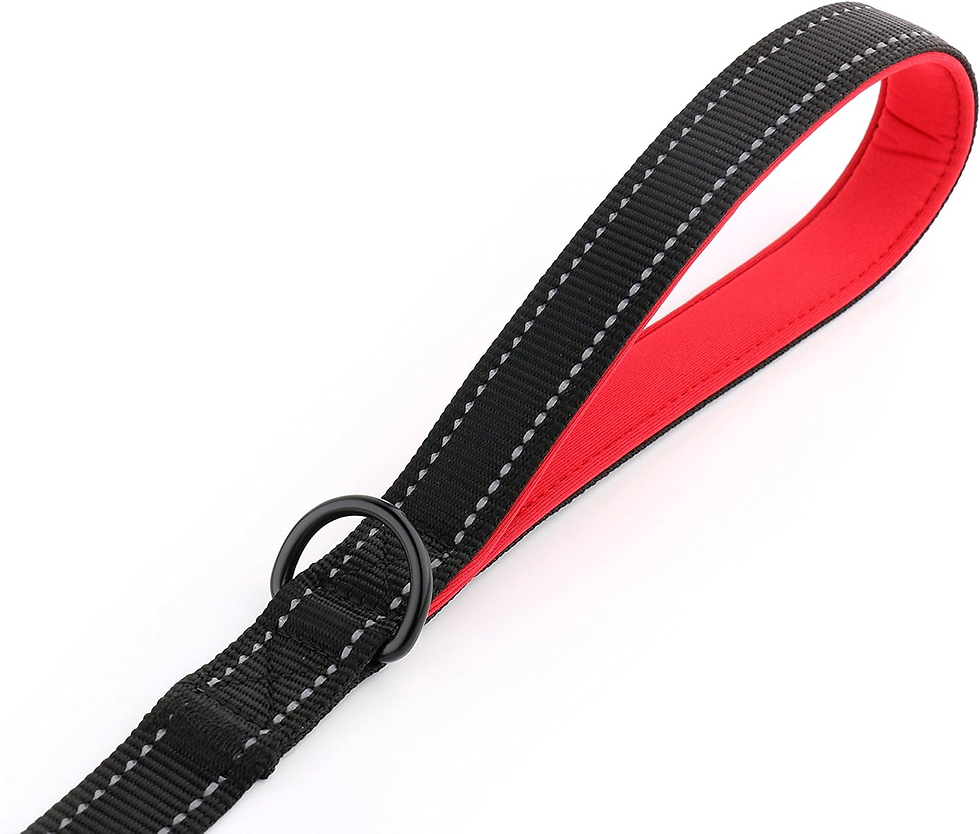 Thumbnail: Dog Leash 6Ft Long,Traffic Padded Two Handle,Heavy Duty,Reflective Double Handle