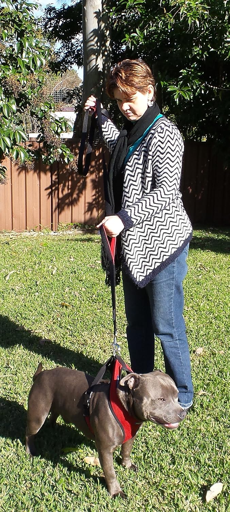 Thumbnail: Dog Leash 6Ft Long,Traffic Padded Two Handle,Heavy Duty,Reflective Double Handle
