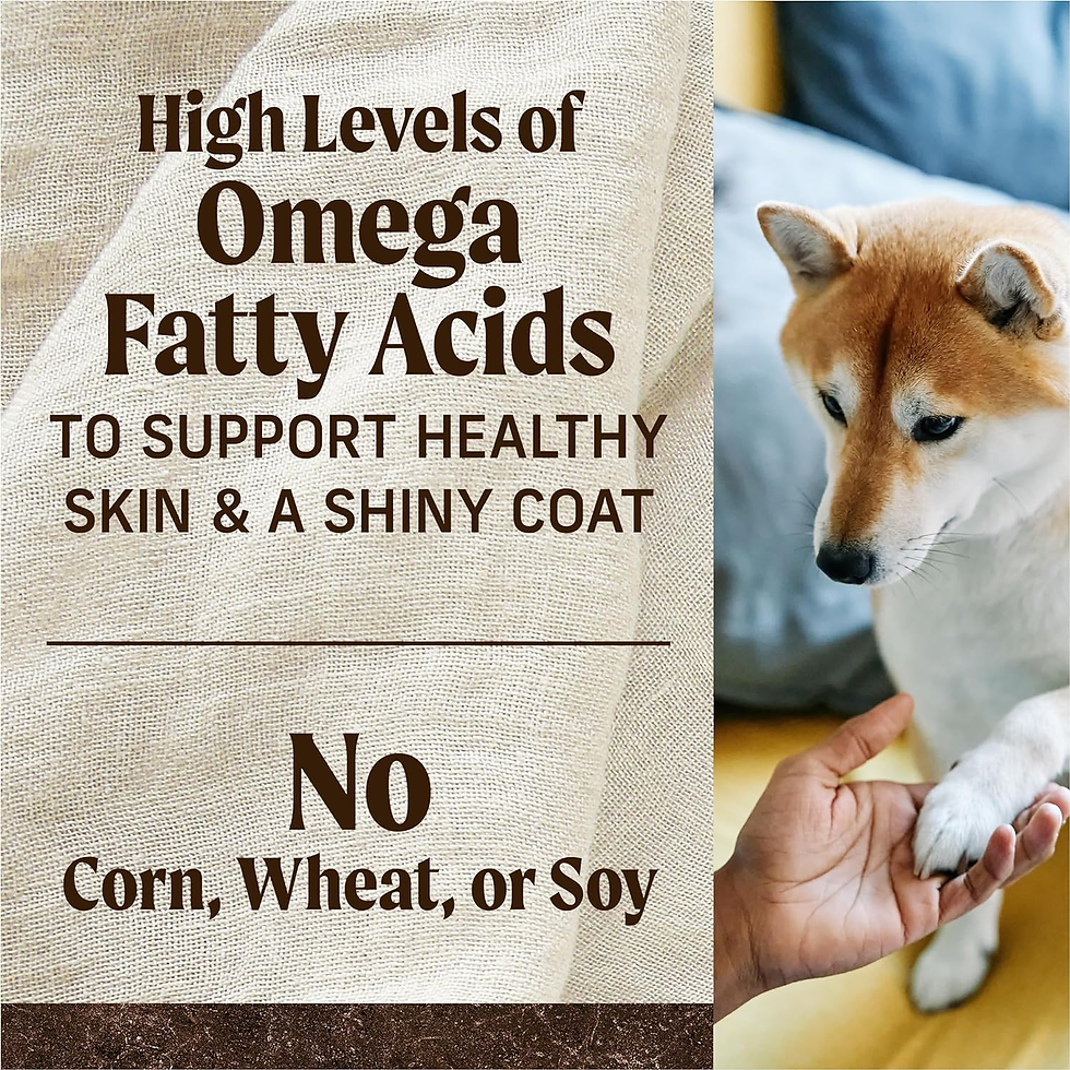 Thumbnail: Premium Grain Free Dry Adult Dog Food, Wholesome and Natural Kibble with Real Ch