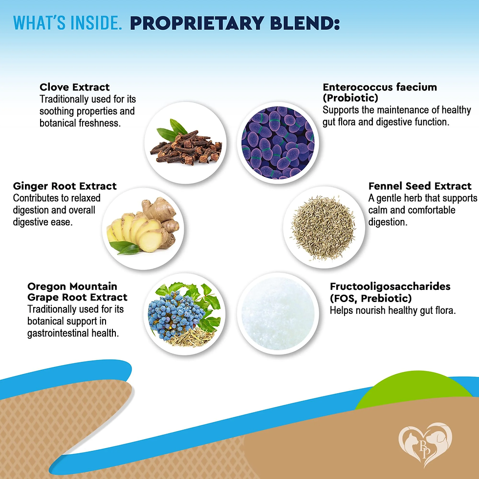 Thumbnail: NutriPet Probiotic Blend for Dogs & Cats - Herbal Gut Health Support