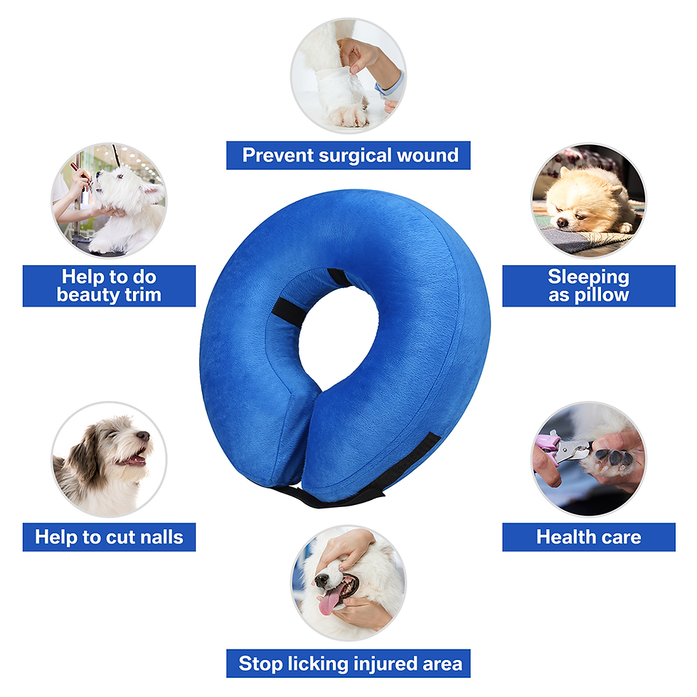 Thumbnail: Inflatable Recovery Collar for Dogs and Cats - Vision-Friendly E-Collar (M, Blue