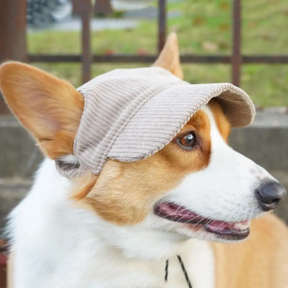 Thumbnail: Stylish Adjustable Dog Baseball Cap with Ear Holes - Perfect for Sunny Days!