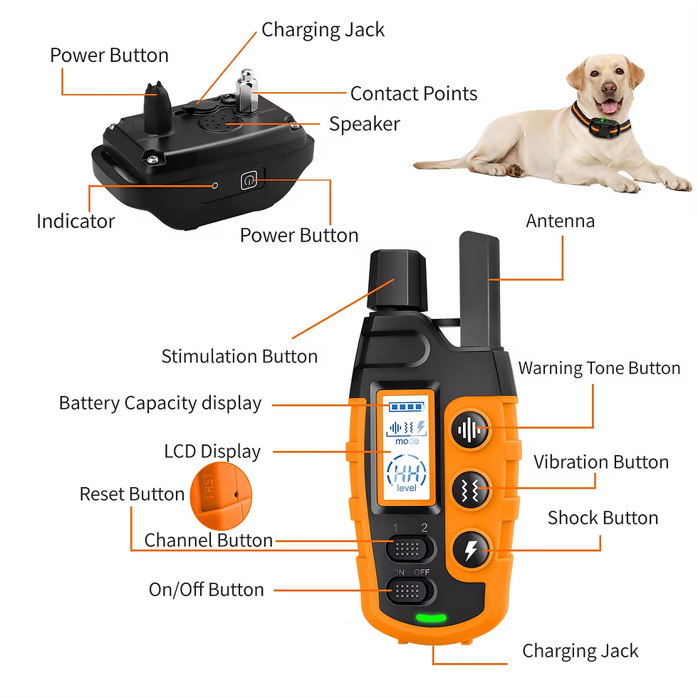 Thumbnail: 3300Ft Waterproof Electric Dog Training Collar with Remote Control for 5-120Lbs