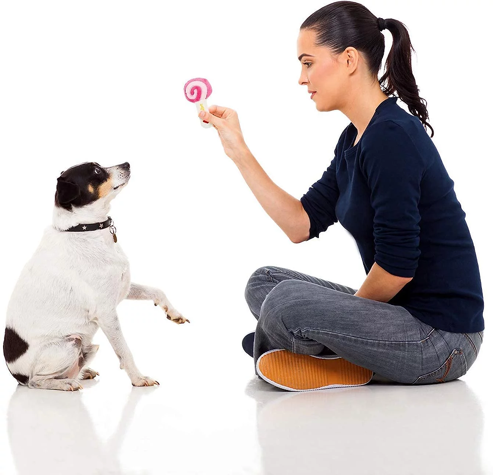 Thumbnail: 14 Pack Dog Squeaky Toys Cute Stuffed Plush Fruits Snacks and Vegetables Dog Toy