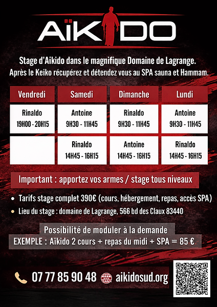 Copie de Stage Fayence Rinalllllldooo (1).png