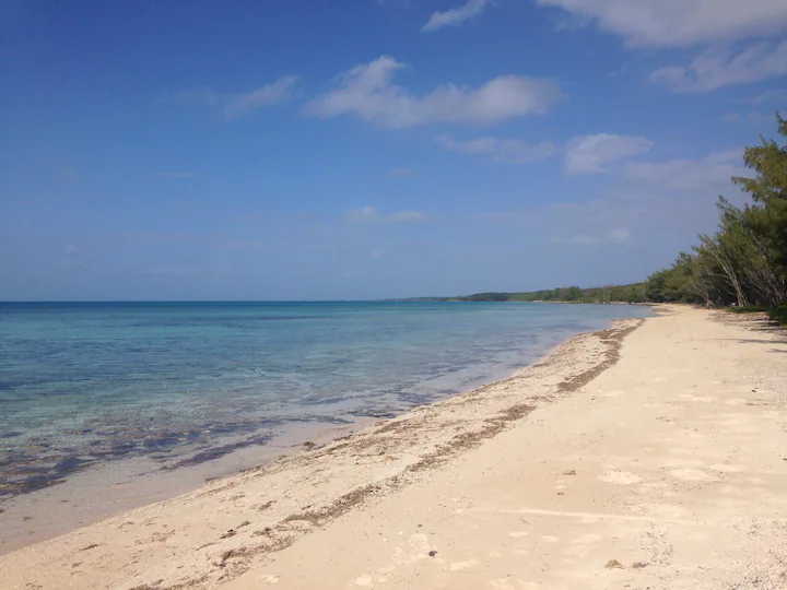 Baha Mara Beach.webp