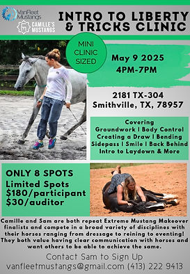 May 9 2025 TX Intro Lib Clinic MINI.jpg