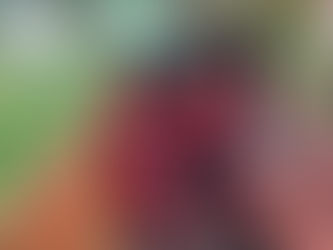 U-9ミニサッカー香川県大会