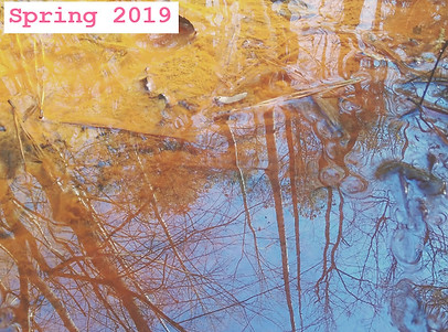 Spring 2019 Cover.jpg