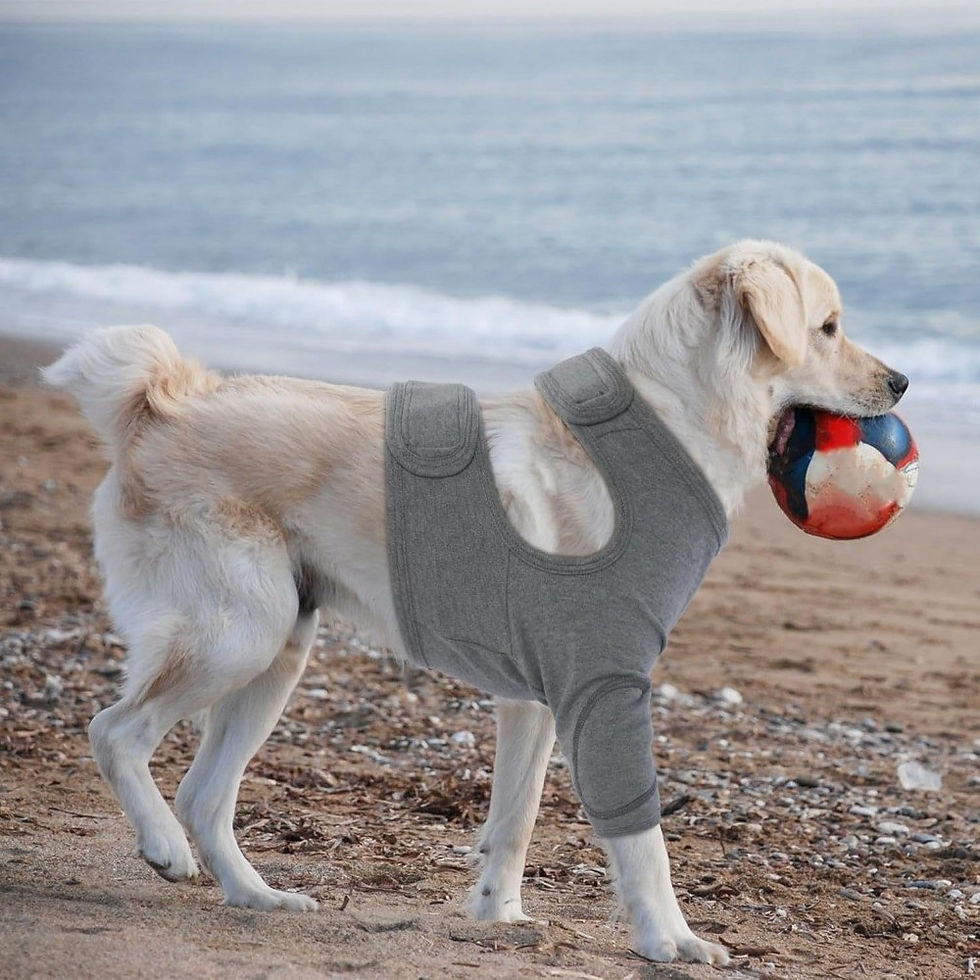 Thumbnail: Breathable Dog Leg Sleeve Professional Long Sleeve Anti-lick Sleeve High Elastic