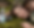 Untitled (4).png