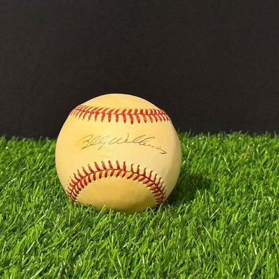 Chicago Cubs Billy Williams Autographed Baseball