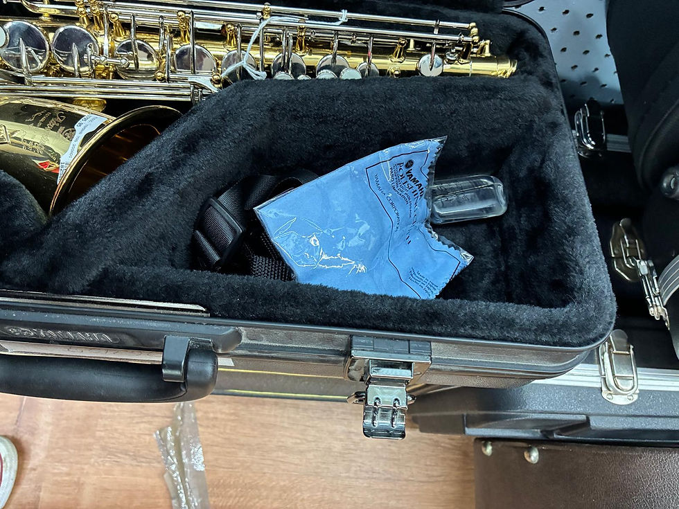 Thumbnail: Yamaha Advantage Alto Saxophpone (YAS-200ADII)