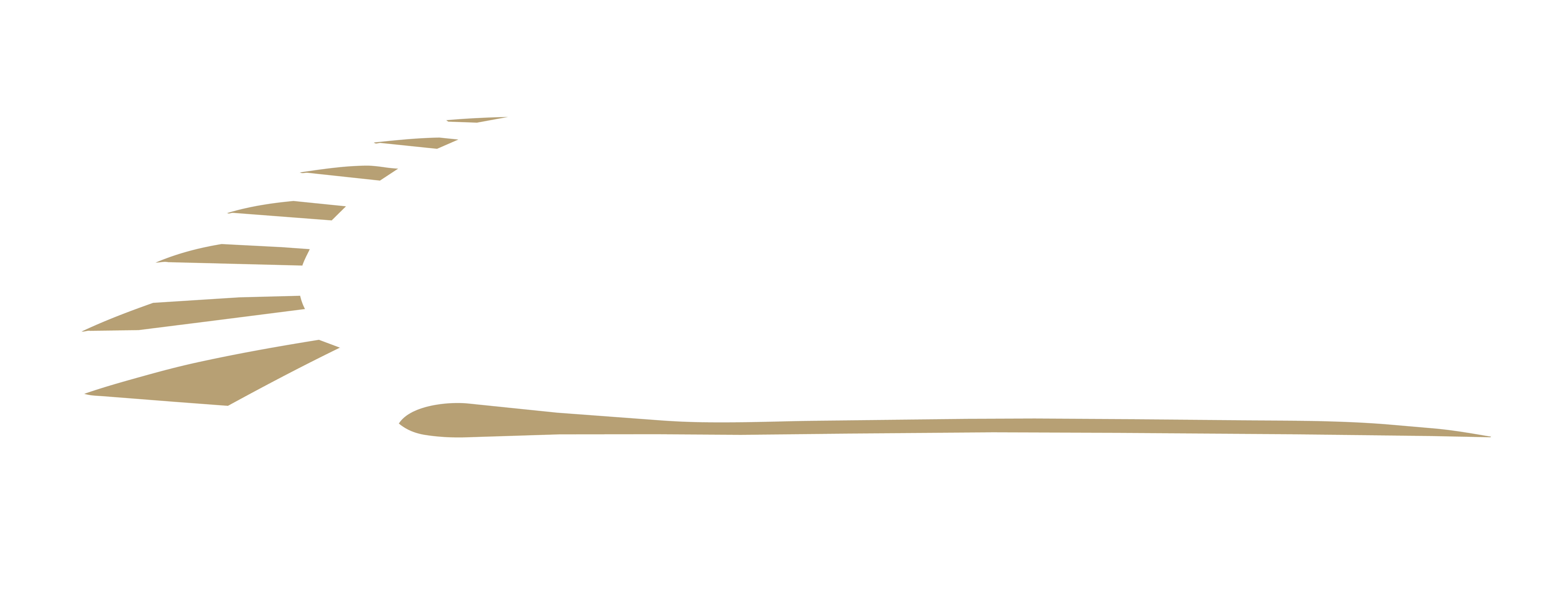 Persoonlijke begeleiding rondom een uitvaart