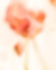 24ad1d890dfb18c15a9d42b0a6d8593c.jpg