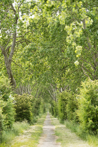 Zeeuws landschap: Wolkenlucht boven Walcheren tijdens rouwstoet