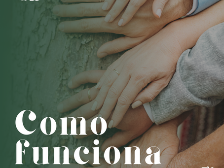 Como funciona a Terapia Sistêmica