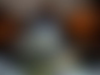 Vertikalangeln auf Wels (2023)